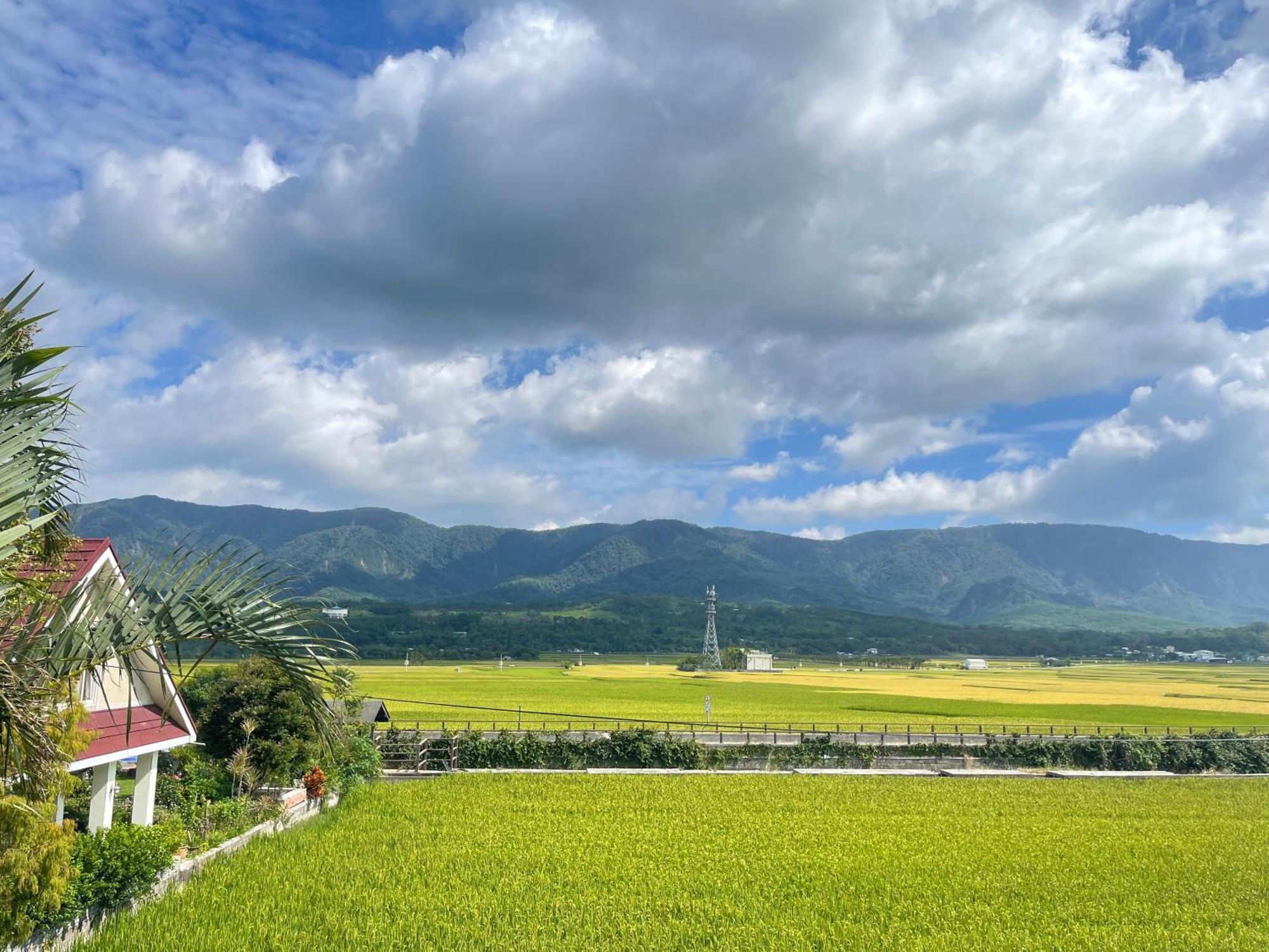 Holiday Homestay Chishang Exterior photo